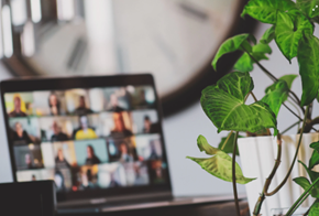 MAINCOACHING für Beratung, Coaching, Training, Führungsentwicklung, Expertin führ Führung und Prozessoptimierung in Würzburg und Umgebung